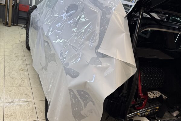 Работа ProTint
